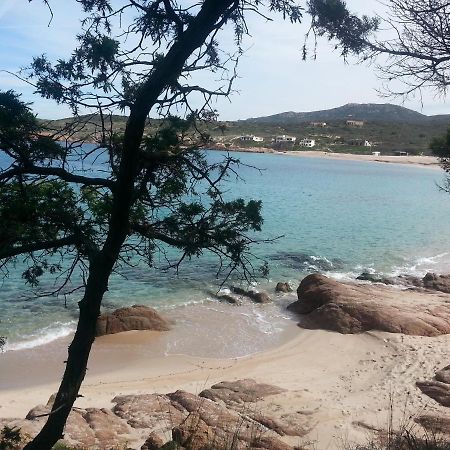 Fronte Mare Attico Indipendente Ed Esclusivo Con Terrazza Panoramica Daire Isola Rossa Dış mekan fotoğraf