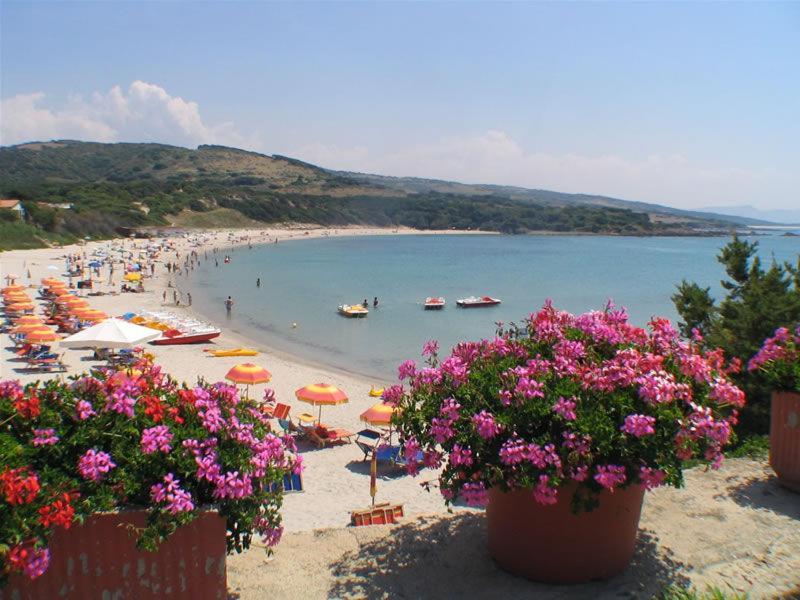 Fronte Mare Attico Indipendente Ed Esclusivo Con Terrazza Panoramica Daire Isola Rossa Dış mekan fotoğraf